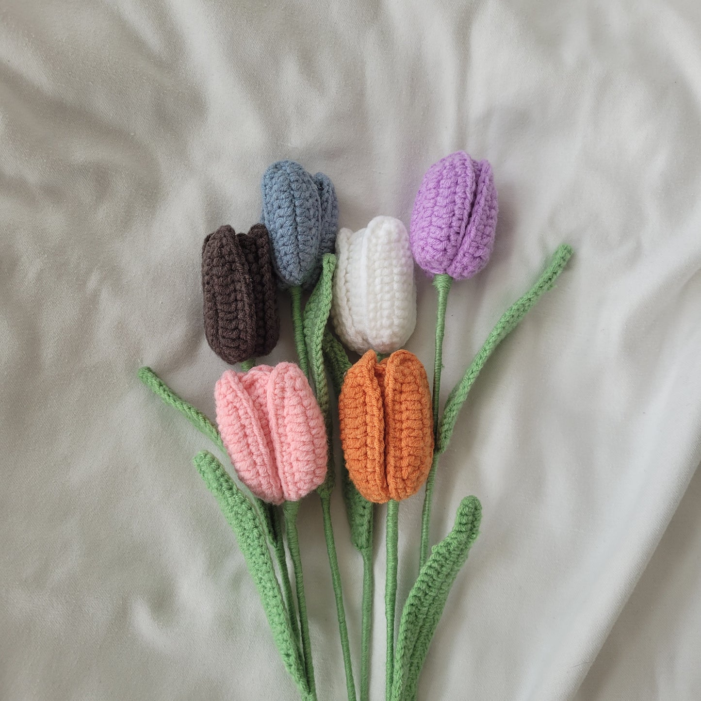 Closed Tulip