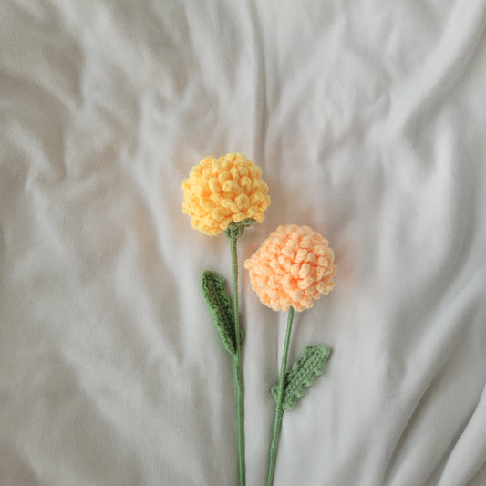 Dandelion