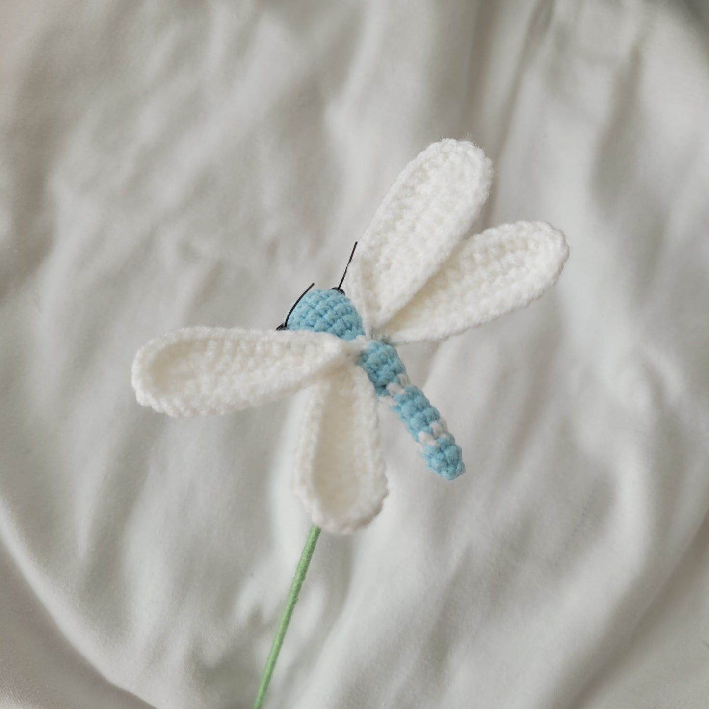 Buggies: Bees, Butterflies, and Dragonflies