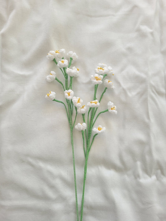 Baby's Breath