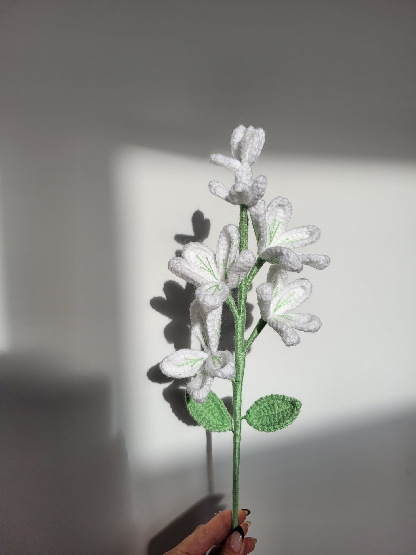A Branch of Jasmine