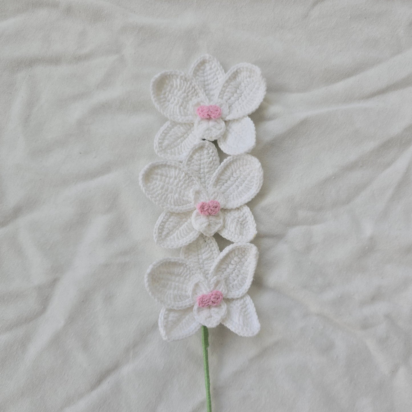 Orchids