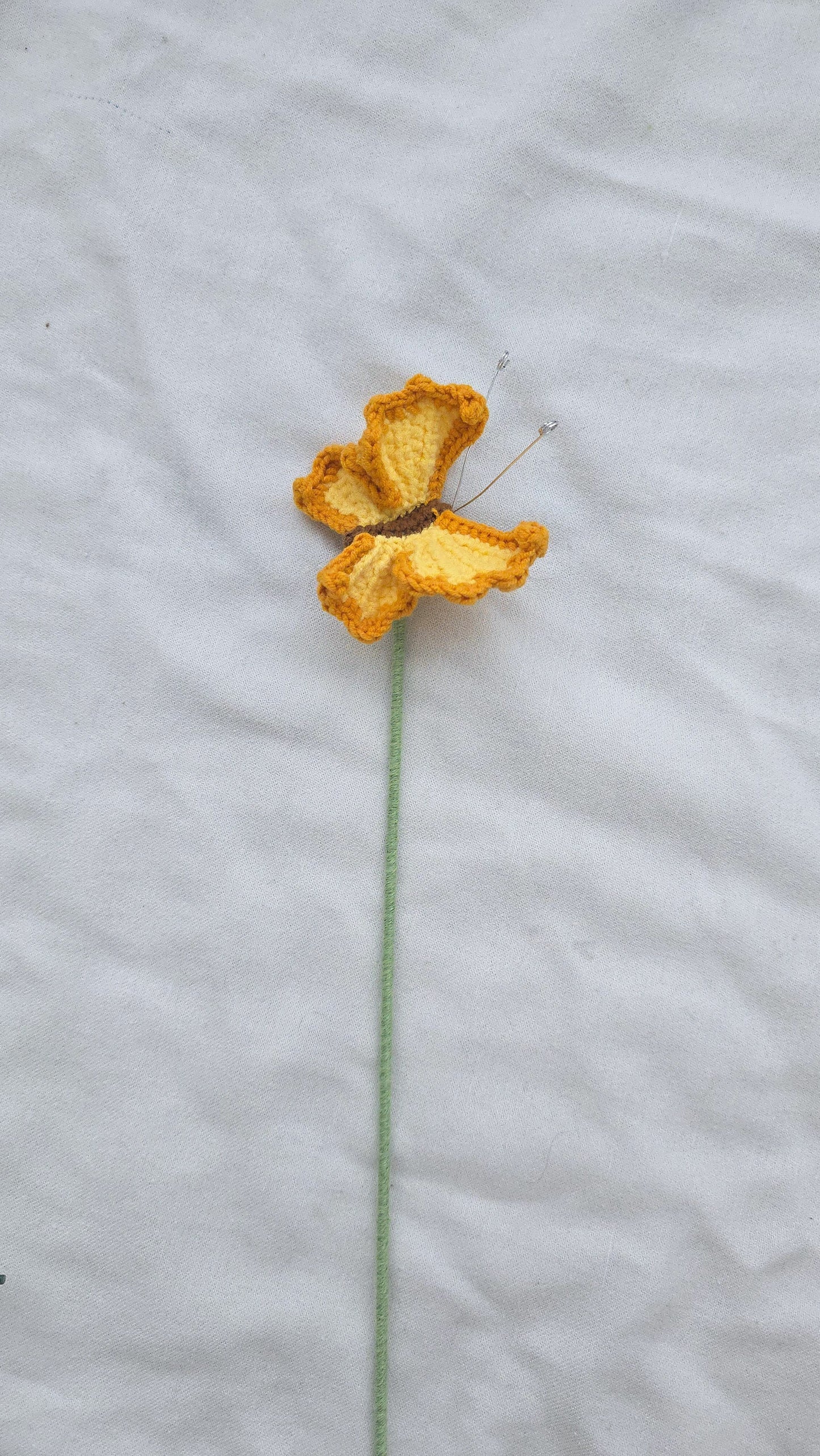 Buggies: Bees, Butterflies, and Dragonflies