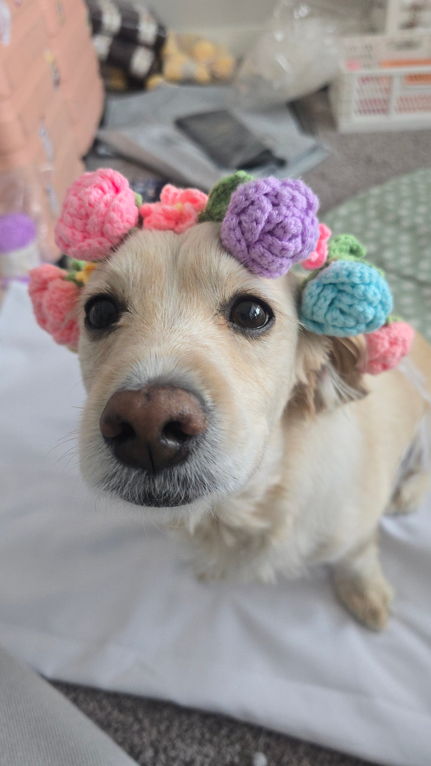 Flower Crown Crochet Pattern