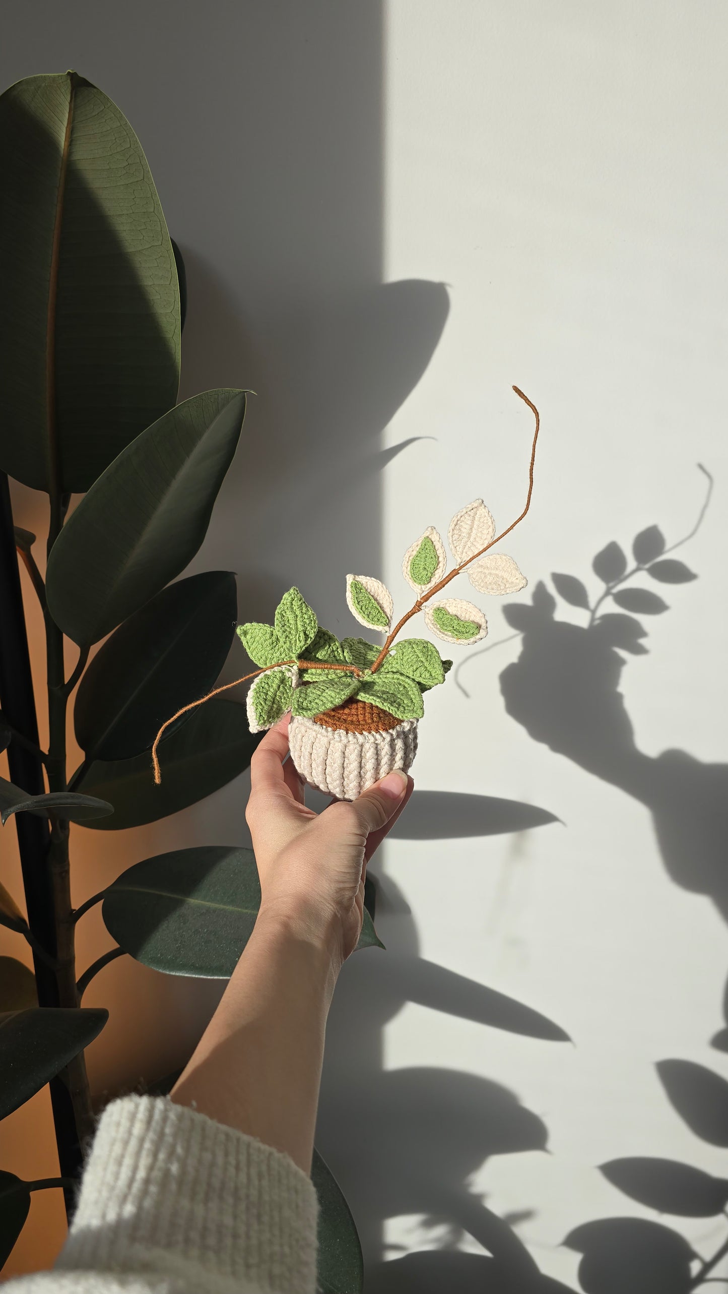 Crochet Hoya Plant Pattern