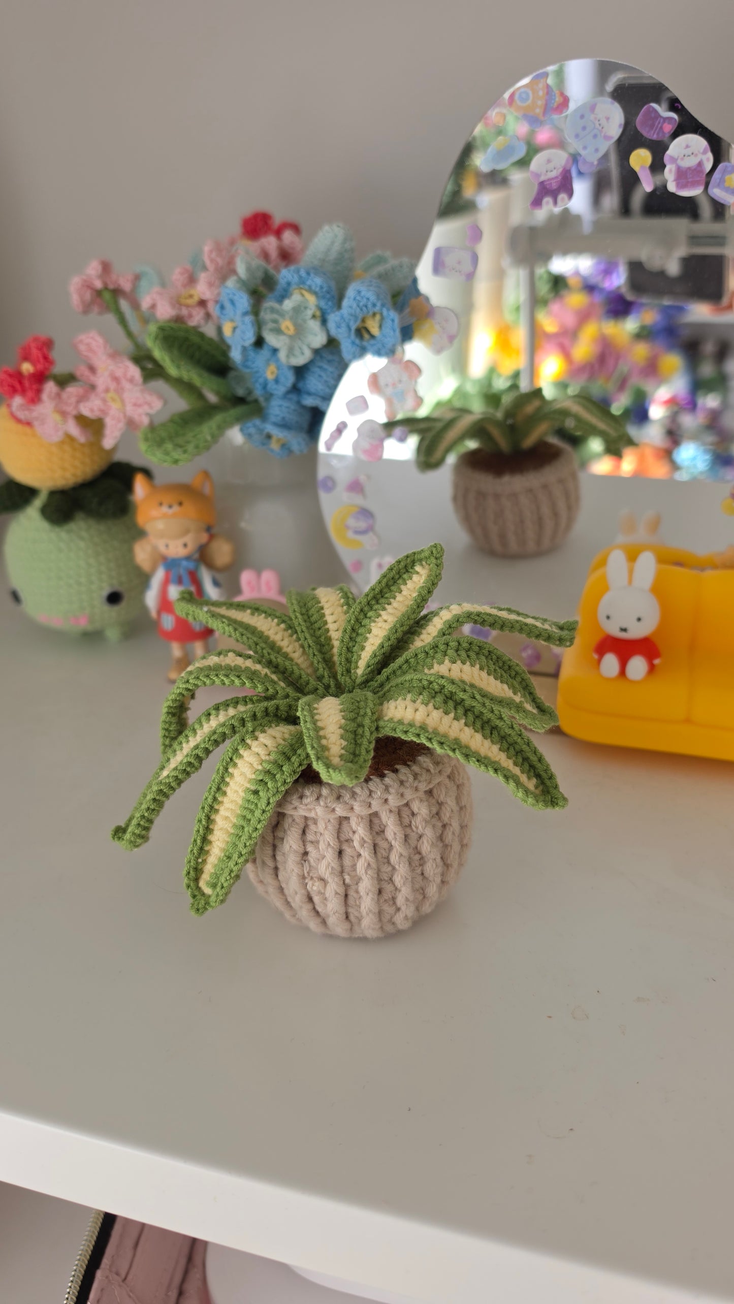 Spider Plant