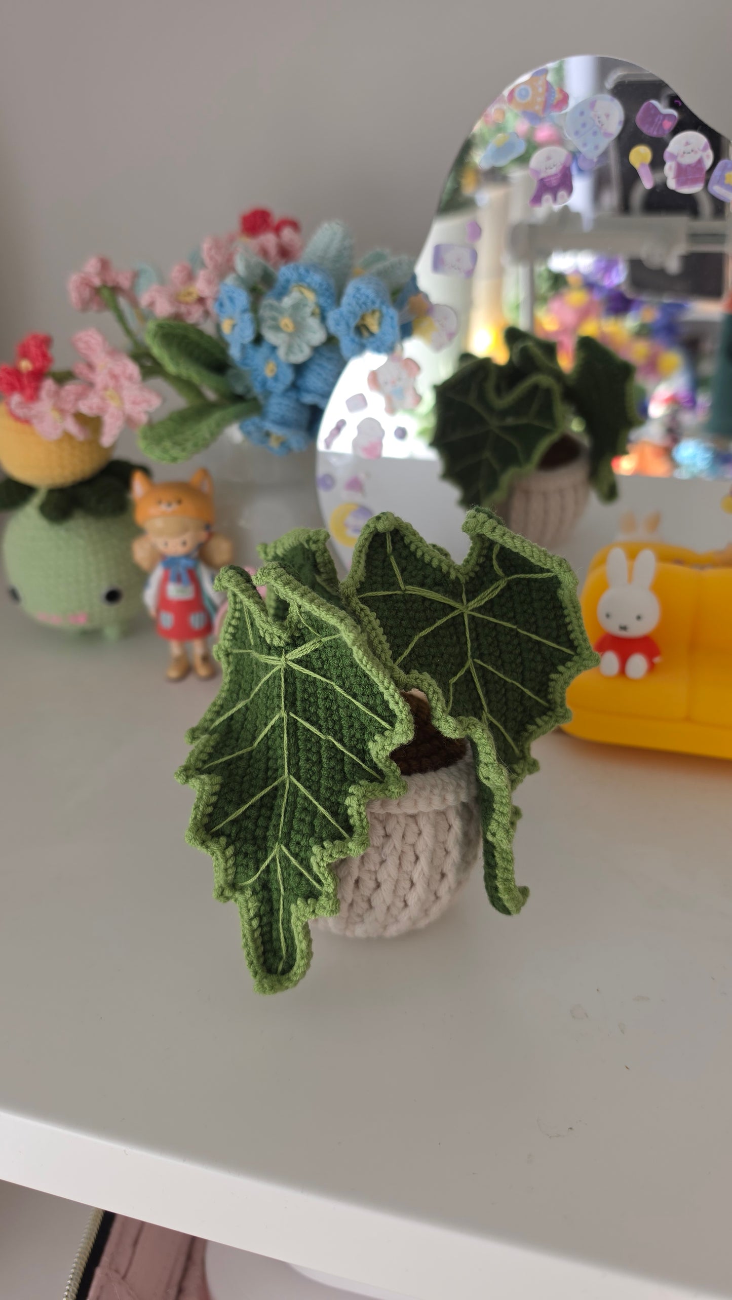 Alocasia