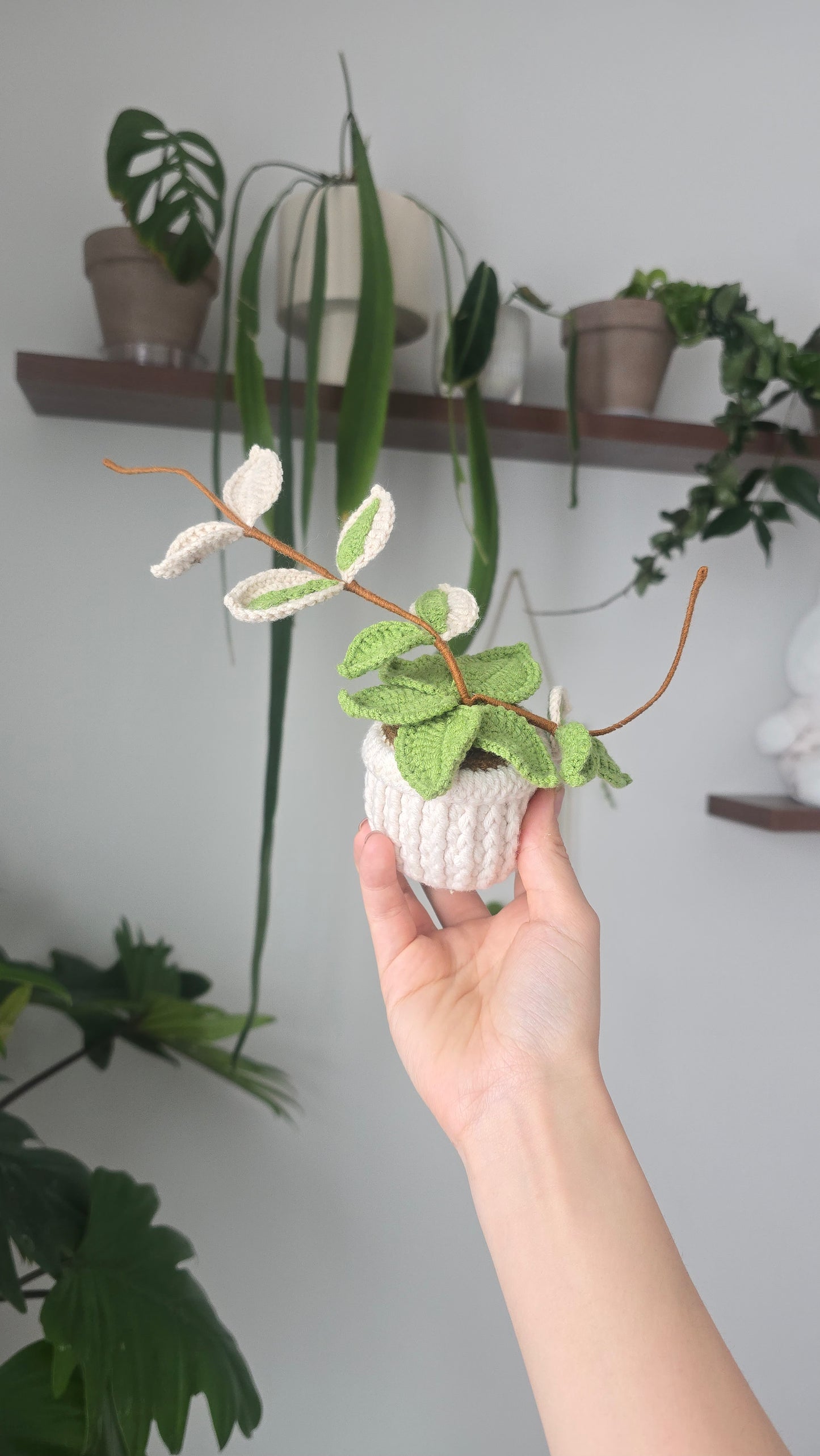 BFFs Plant Set