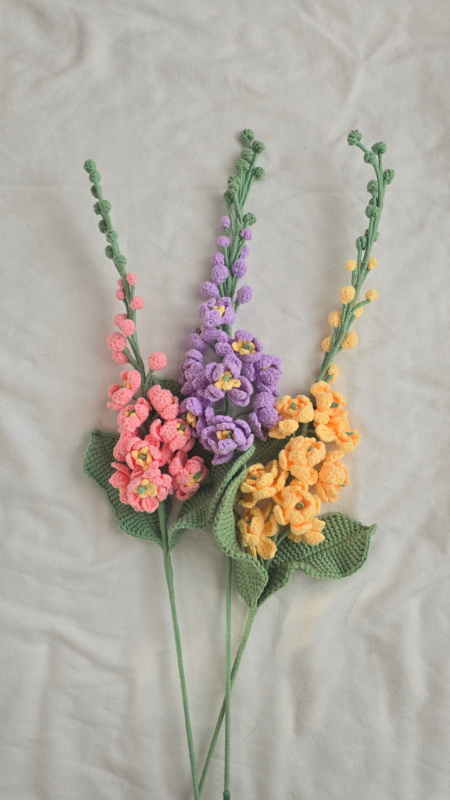 Delphinium