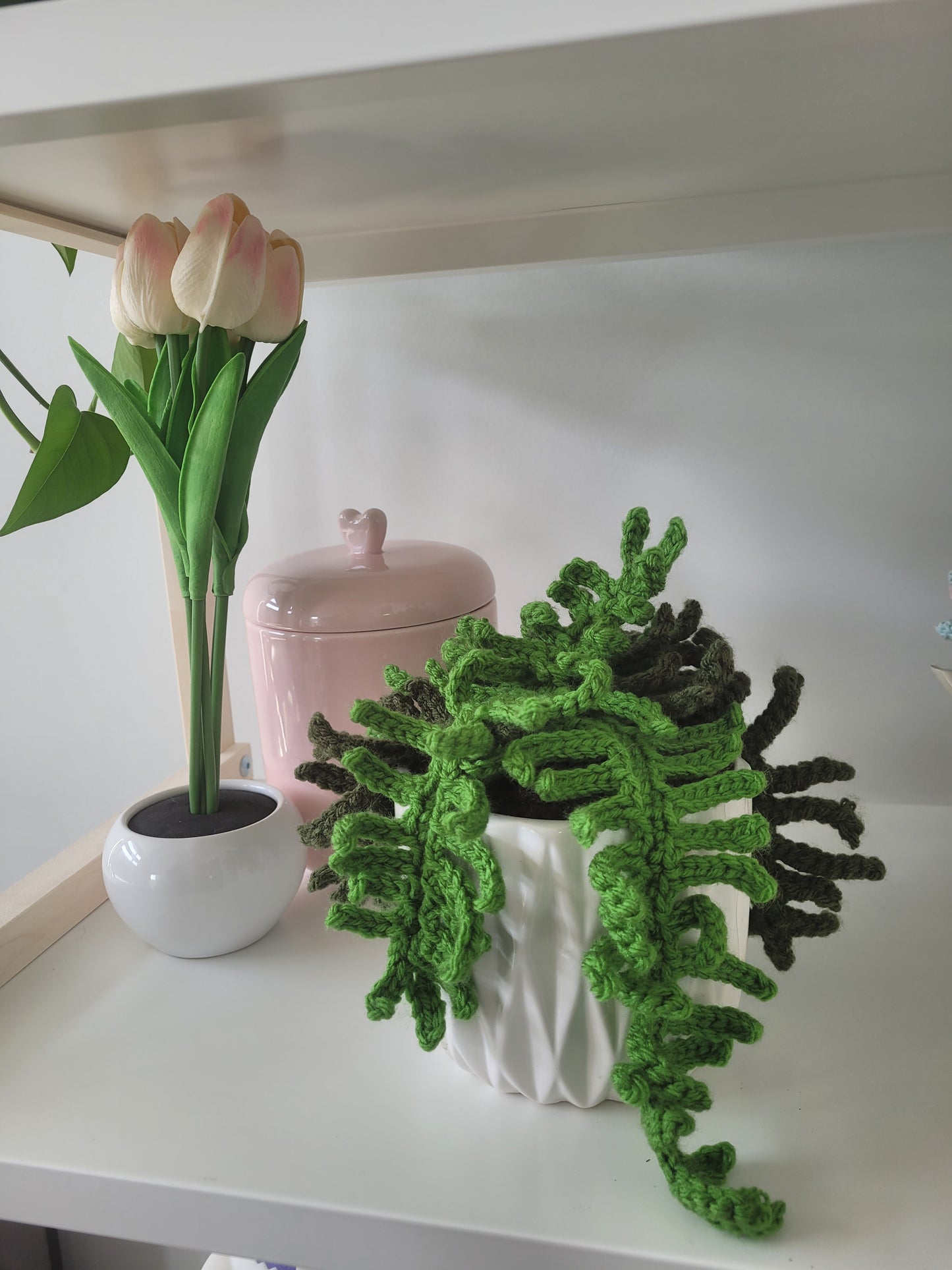 Fern Plant Crochet Pattern