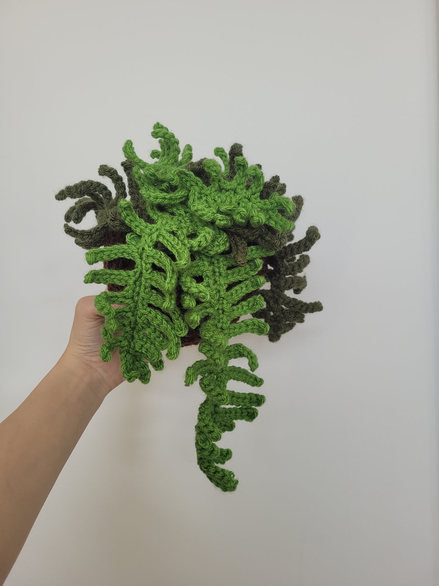 Fern Plant Crochet Pattern