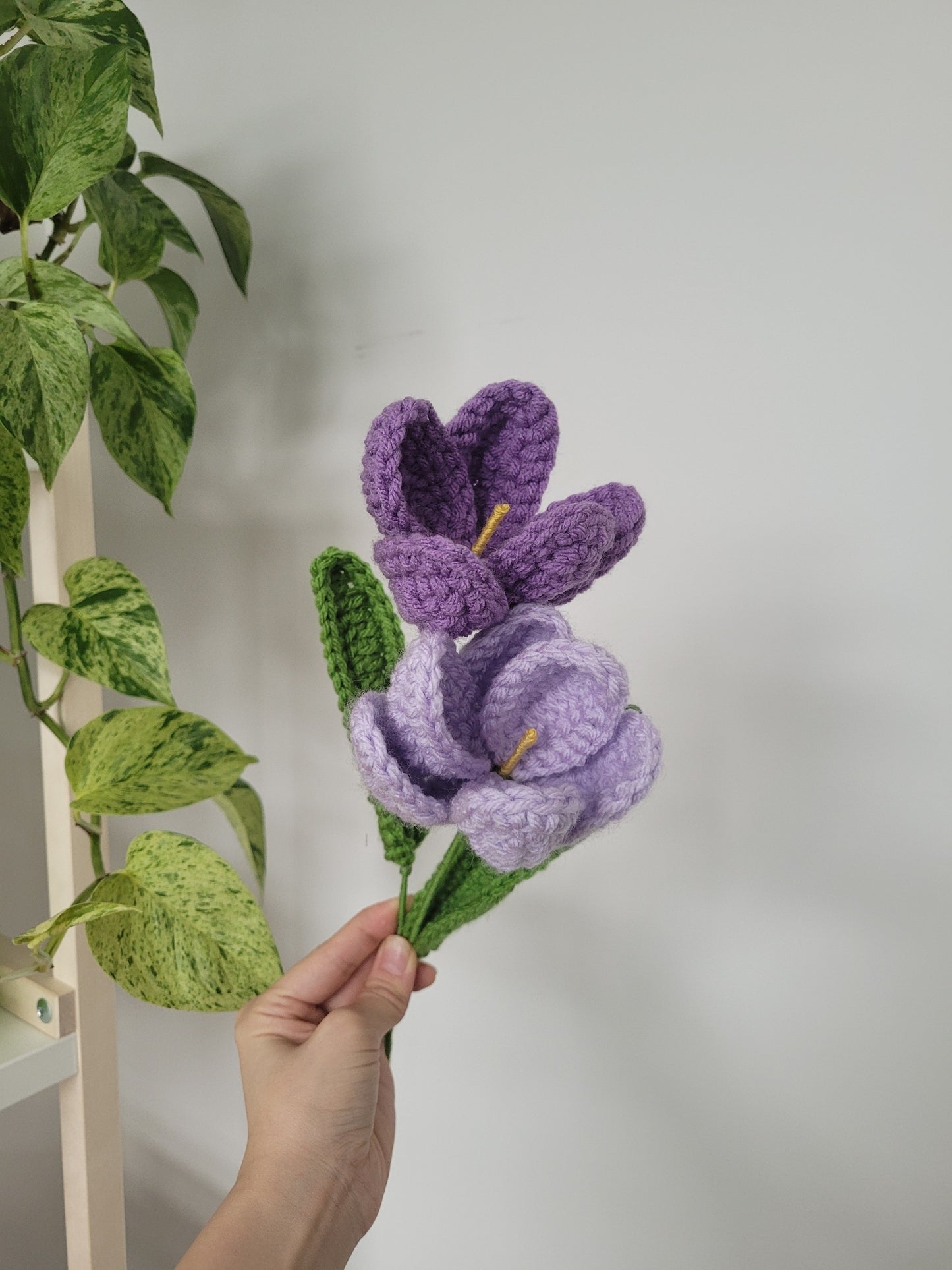 Tulip/Crocus 2-in-1 Crochet Pattern