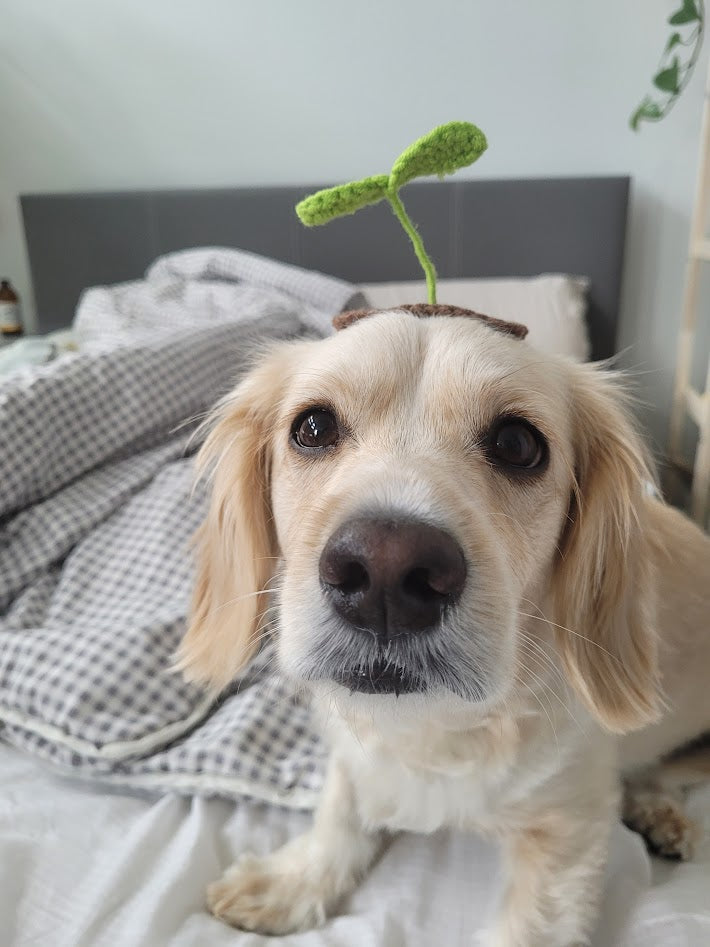 Sprout Hairclip