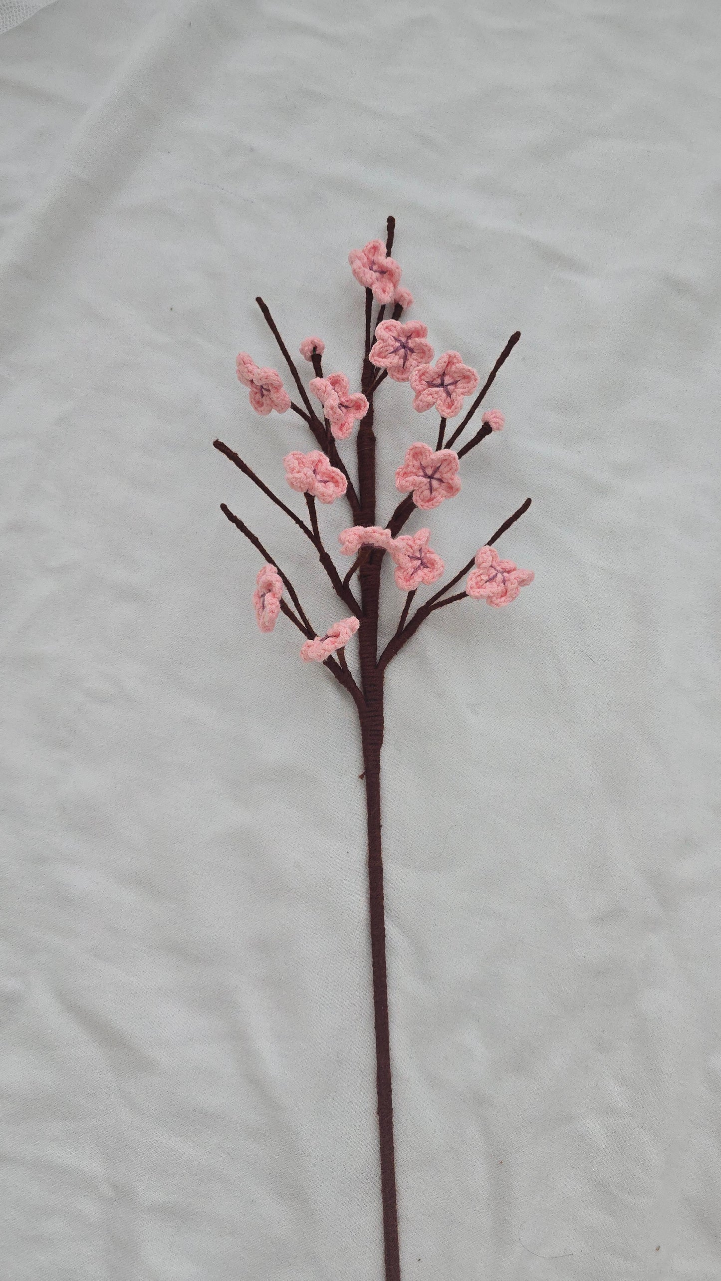 Cherry Blossom Branch