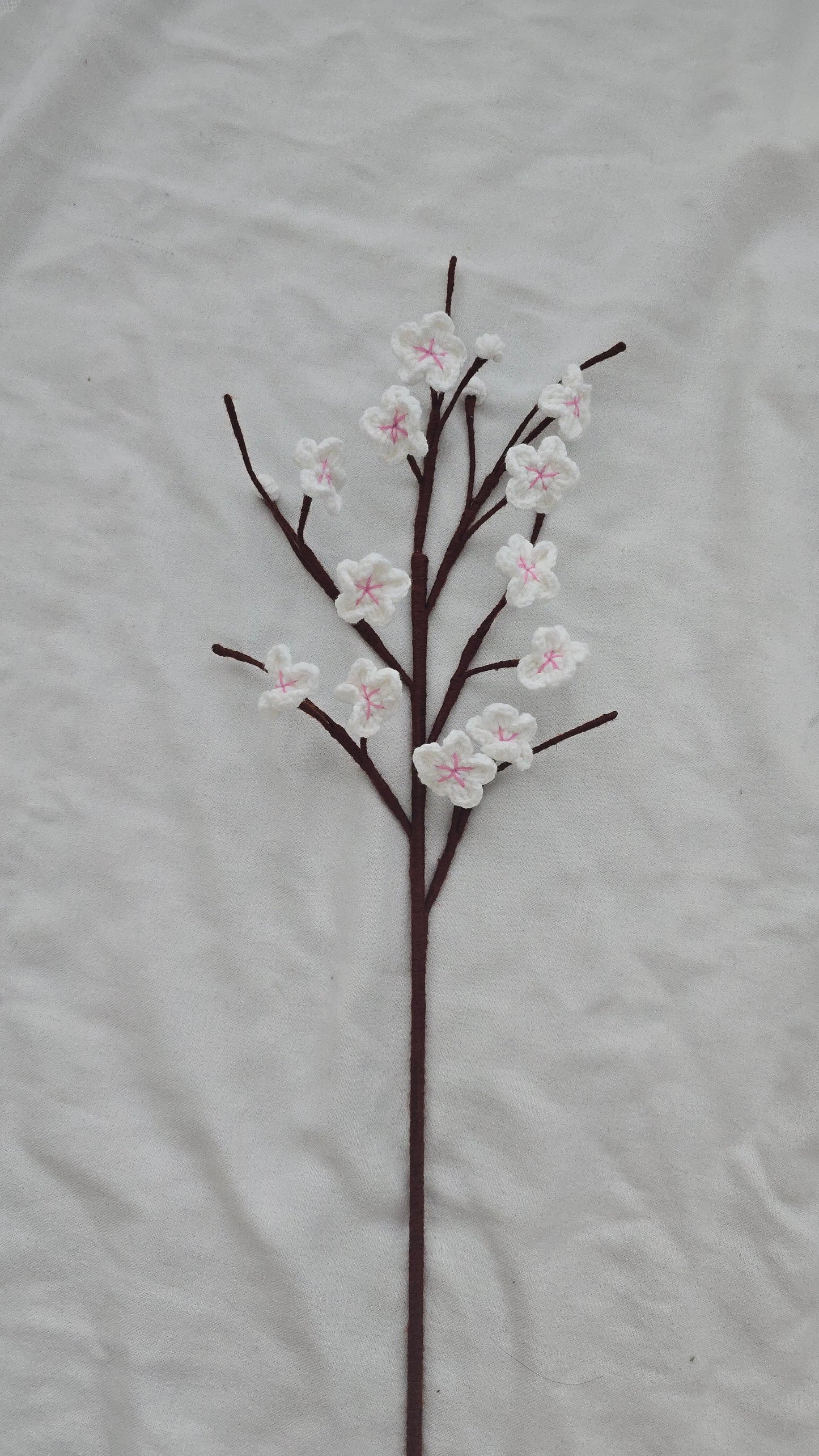 Cherry Blossom Branch