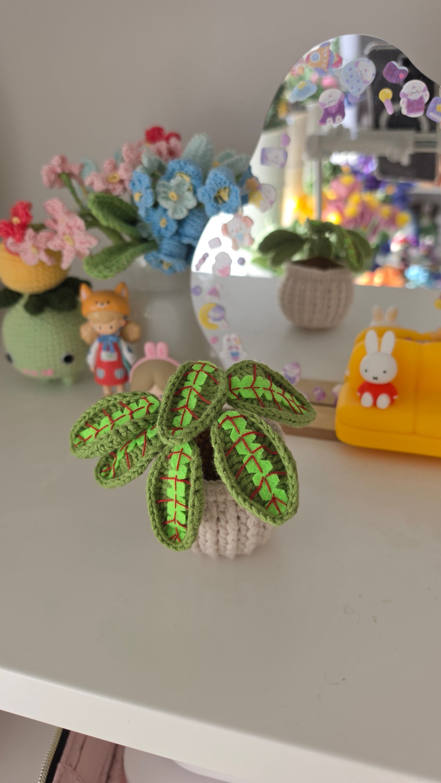 Calathea