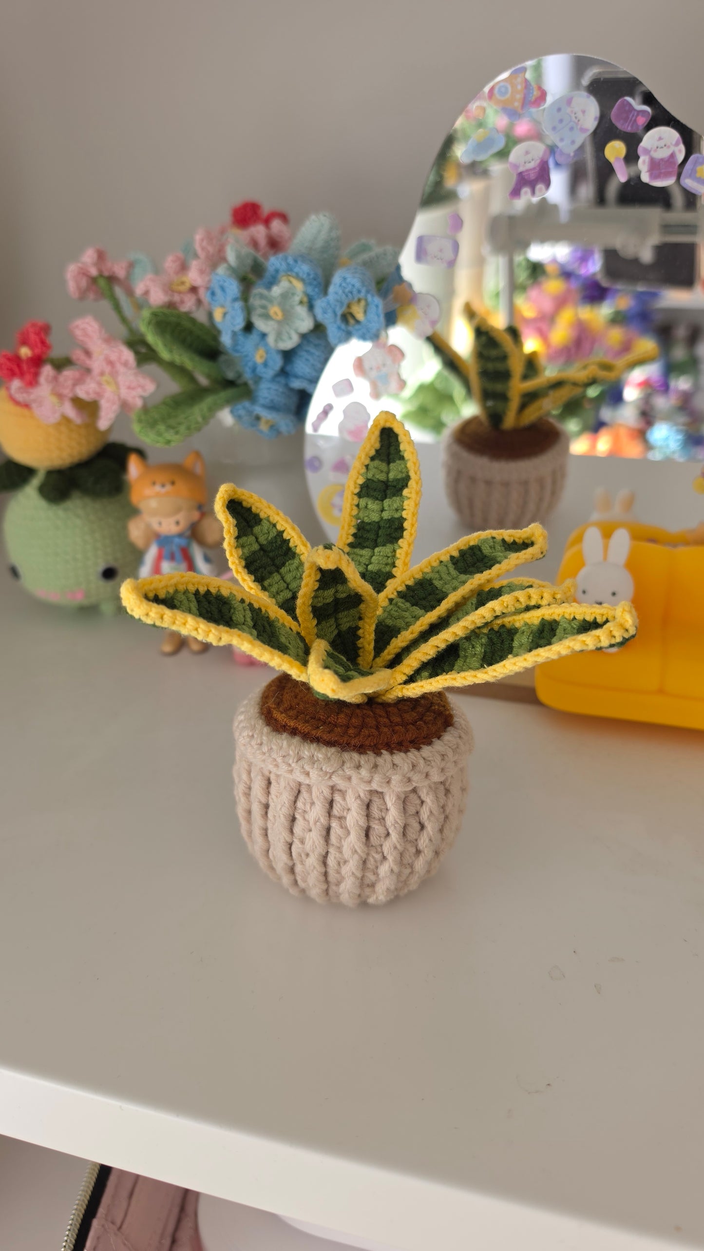 Snake Plant