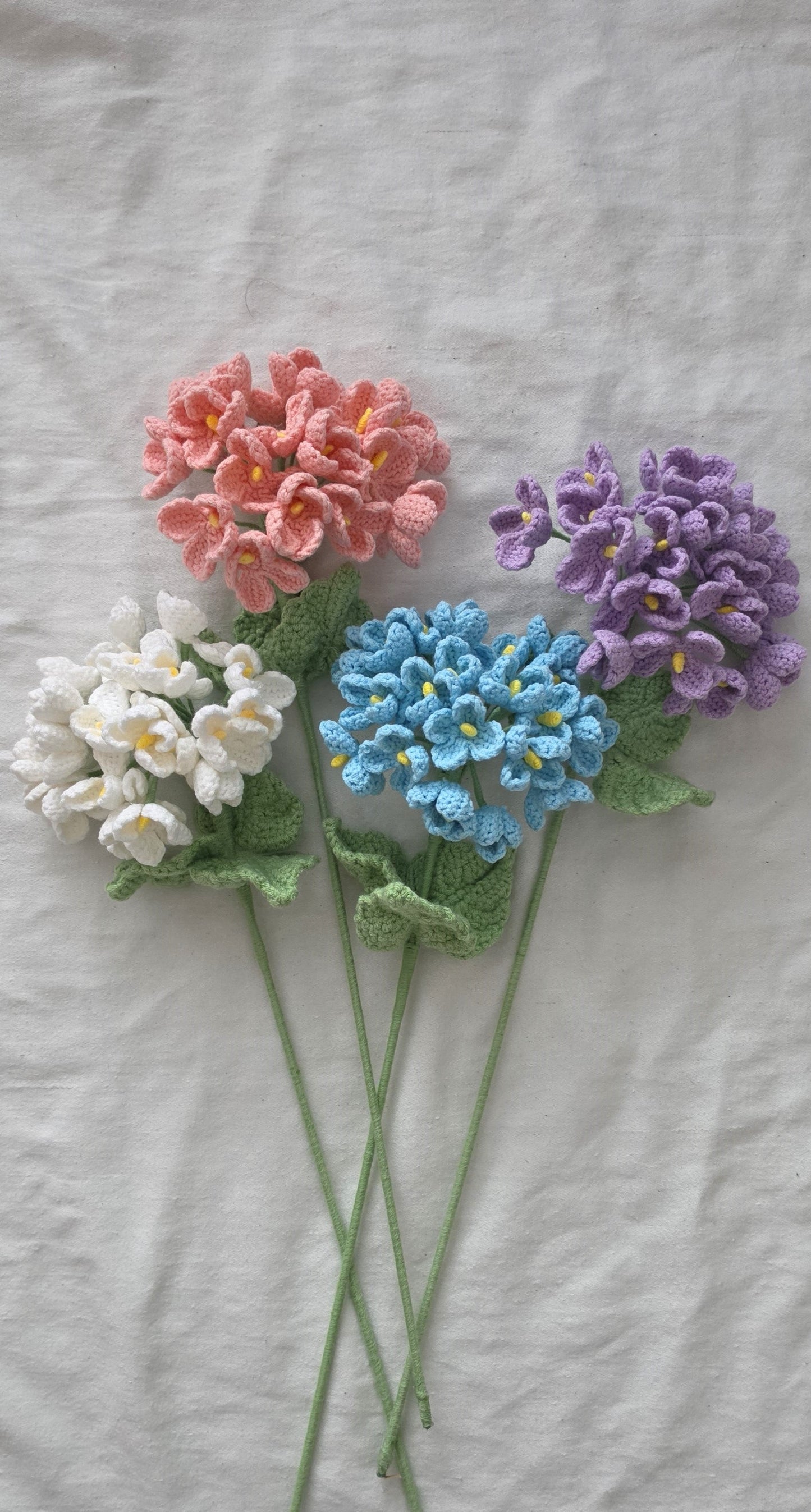 Hydrangea