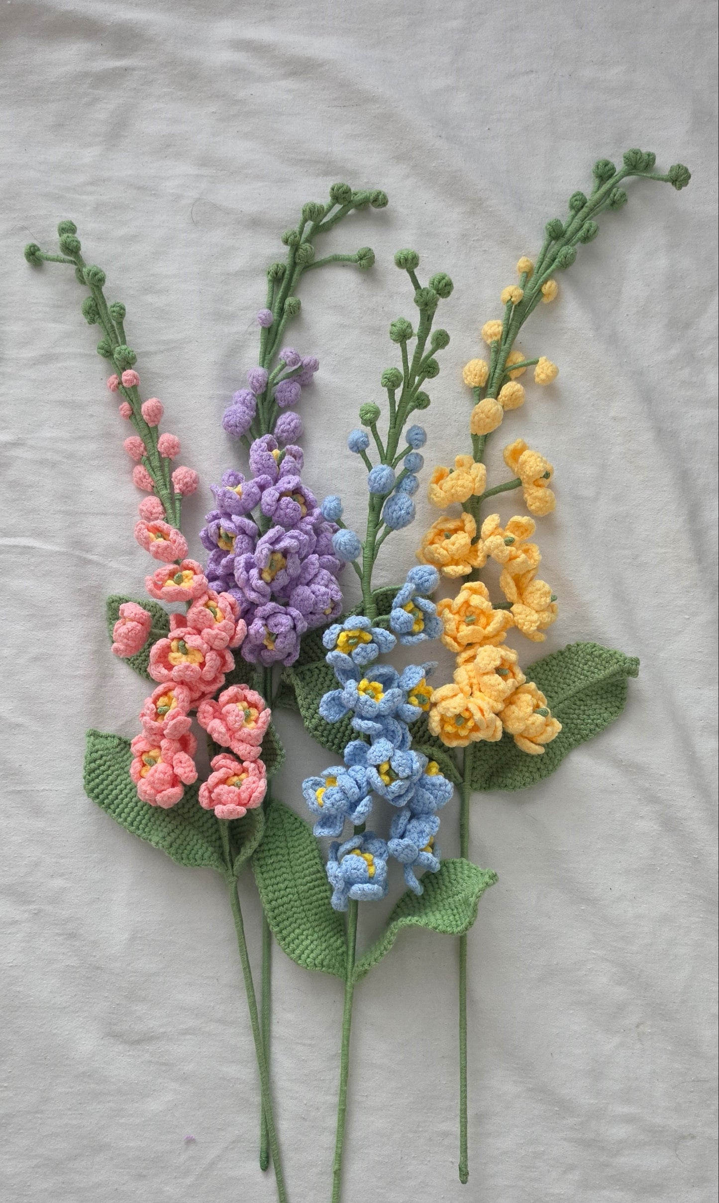 Delphinium