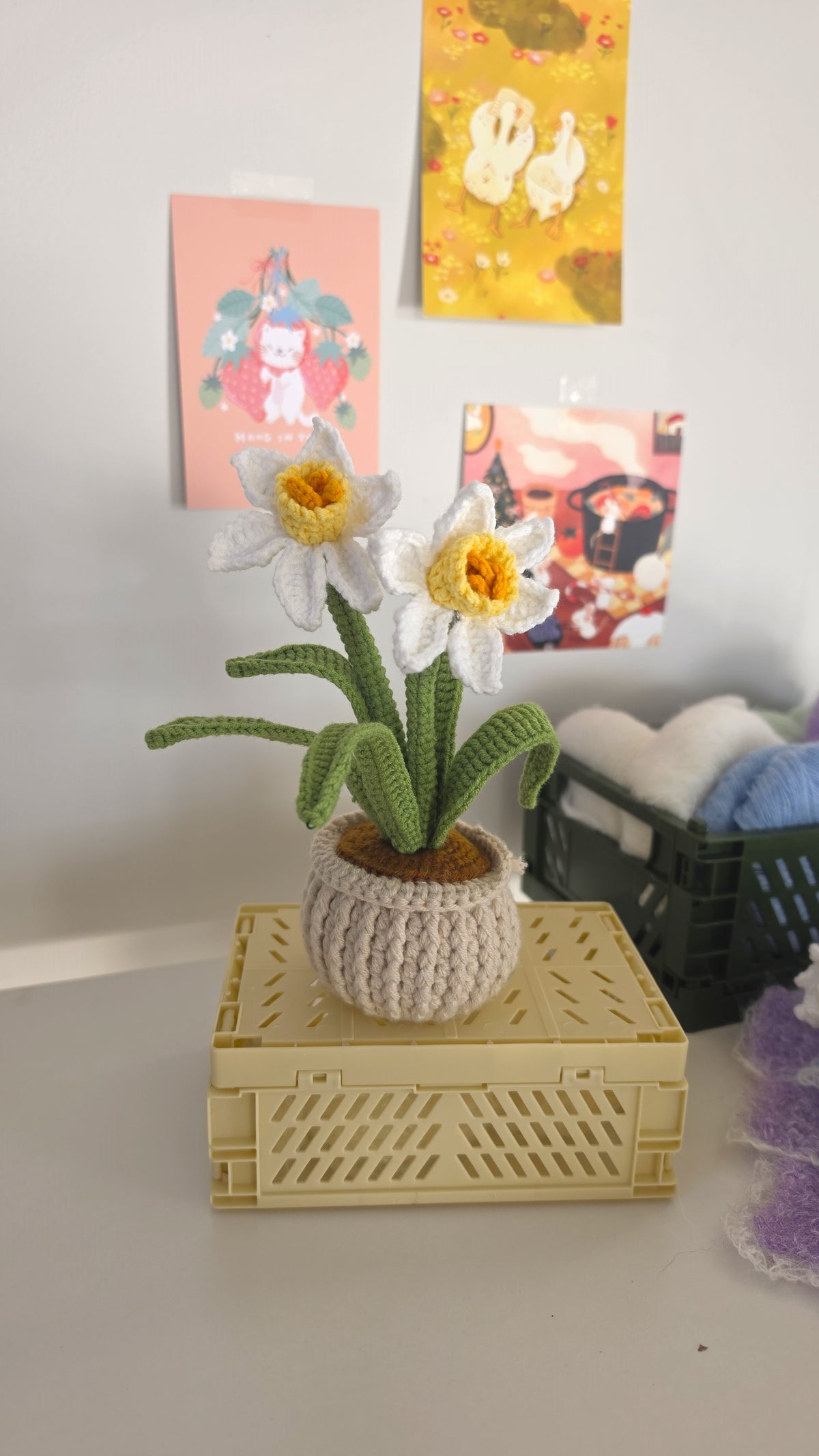 Daffodils Pot