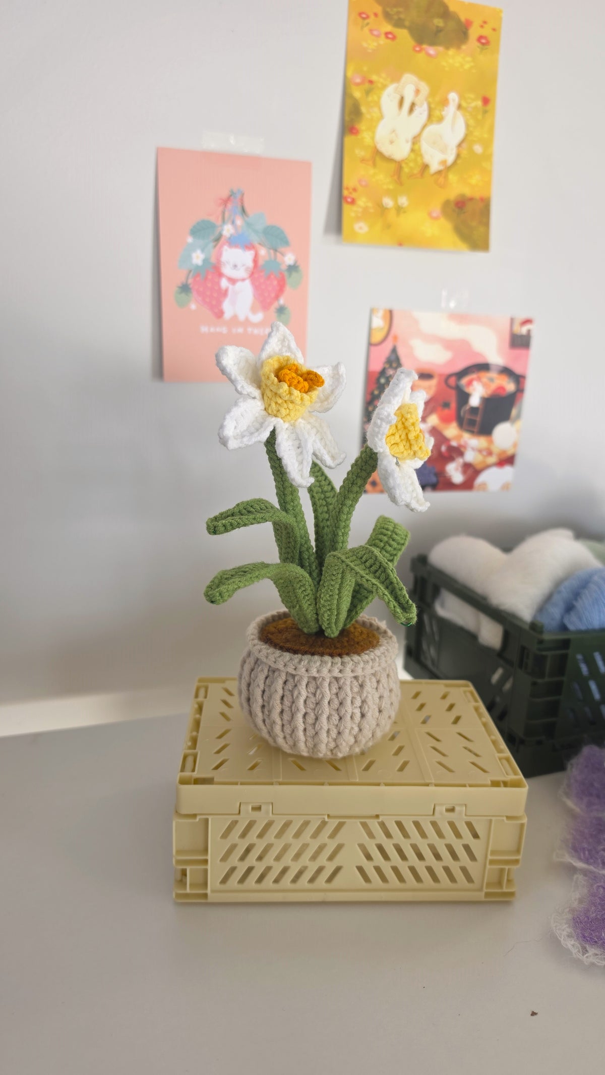 Daffodils Pot