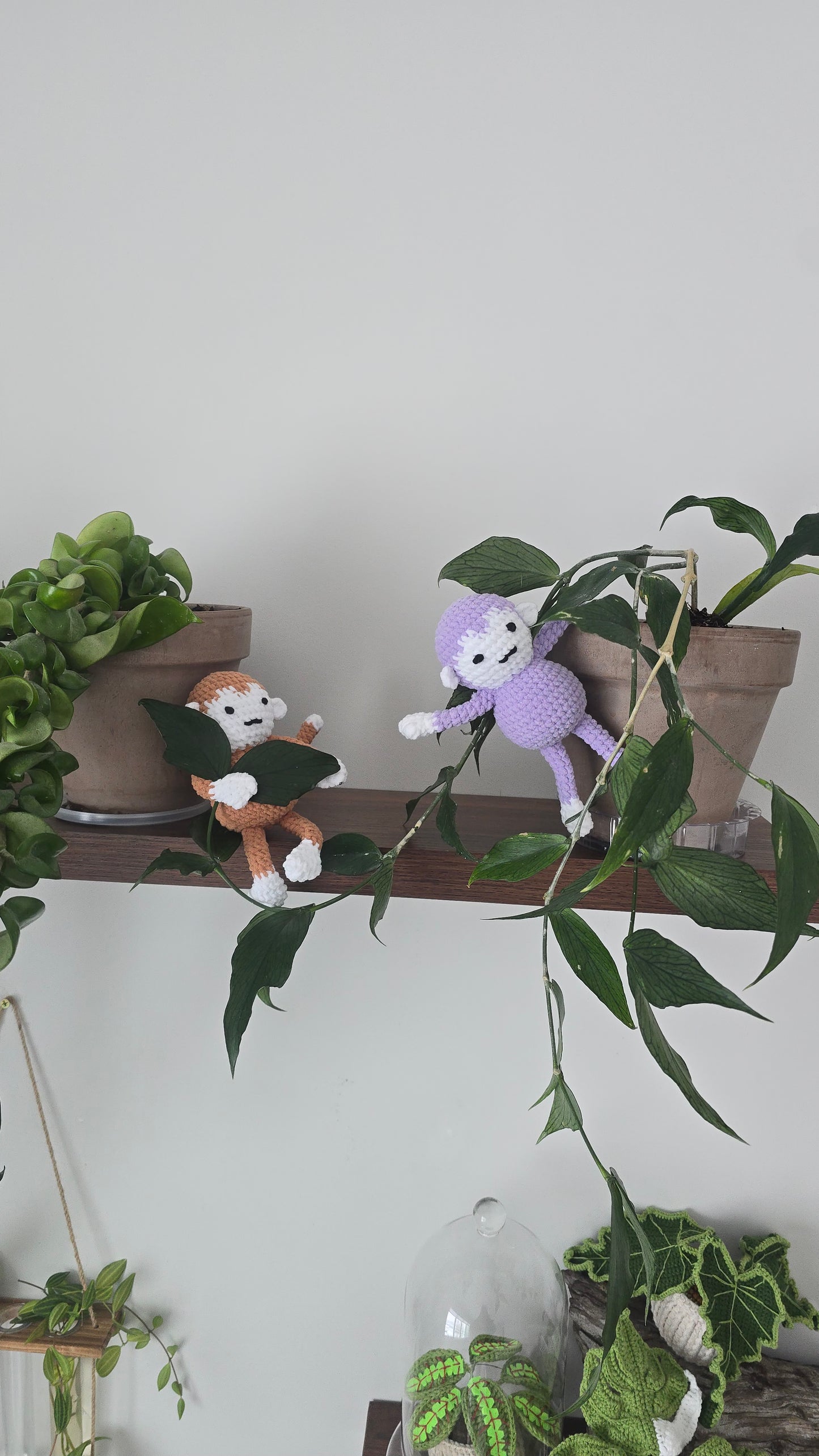 Little Monkeys