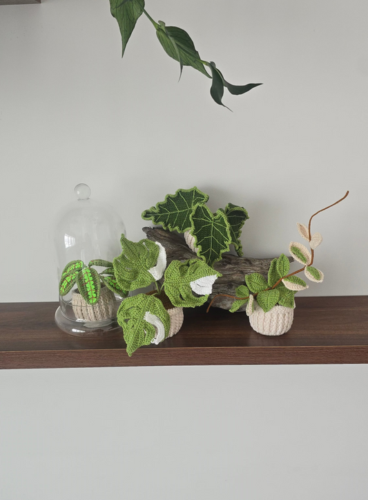 Crochet Plants