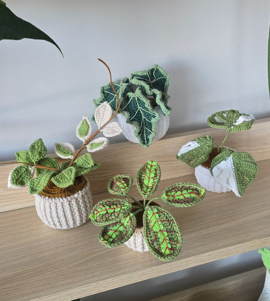 Crochet Plants (PREORDER)