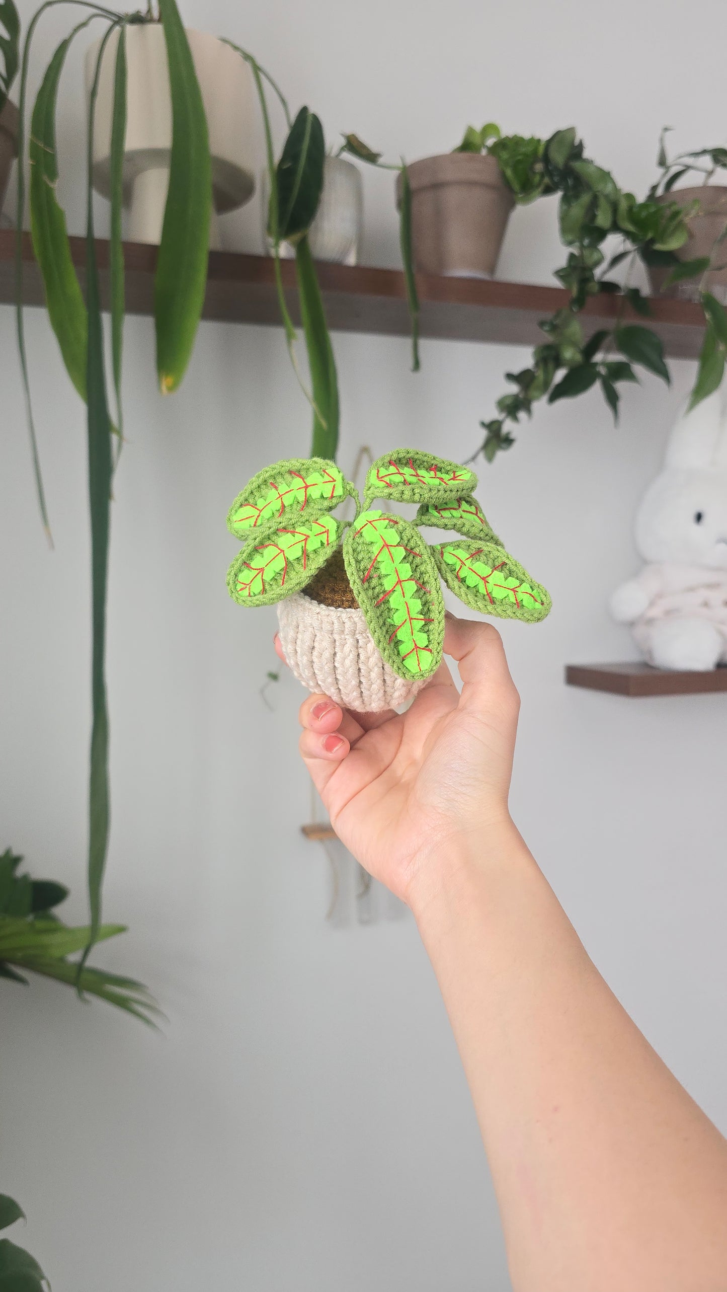 BFFs Plant Set