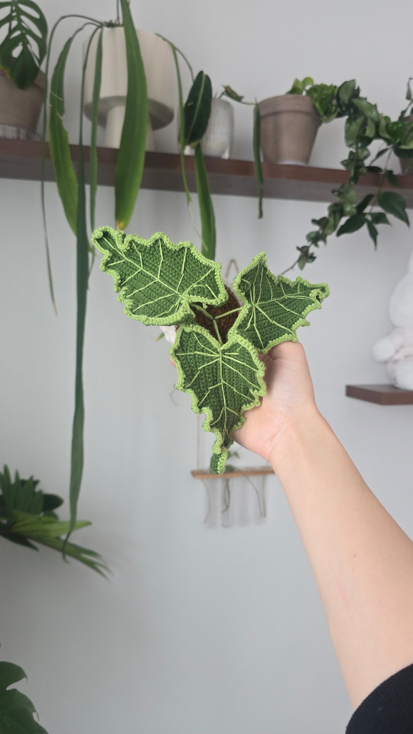BFFs Plant Set